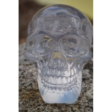 HF1625 FIGURINE CRANE BLANC TETE DE MORT SQUELETTE HEROIC FANTASY 