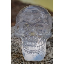 HF1625 FIGURINE CRANE BLANC TETE DE MORT SQUELETTE HEROIC FANTASY 