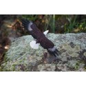 MO0399    FIGURINE  STATUETTE STATUE AIGLE QUI PLANE   RAPACE