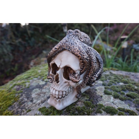 SK261 TETE MORT PIEUVRE   FIGURINE  CRANE OCTOPUS  SQUELETTE    GOTHIQUE SKULL