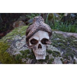 SK261 TETE MORT PIEUVRE   FIGURINE  CRANE OCTOPUS  SQUELETTE    GOTHIQUE SKULL