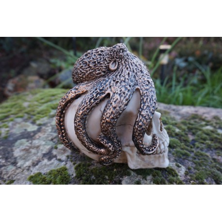 SK261 TETE MORT PIEUVRE   FIGURINE  CRANE OCTOPUS  SQUELETTE    GOTHIQUE SKULL