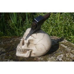 SK282  TETE MORT CRANE  HEROIC FANTASY GOTHIQUE SKULL HACHE DANS LA TETE