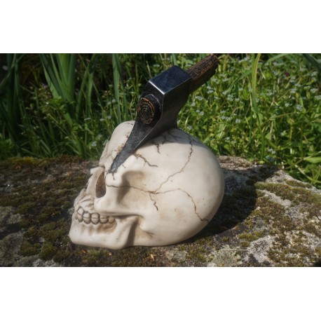 SK282  TETE MORT CRANE  HEROIC FANTASY GOTHIQUE SKULL HACHE DANS LA TETE