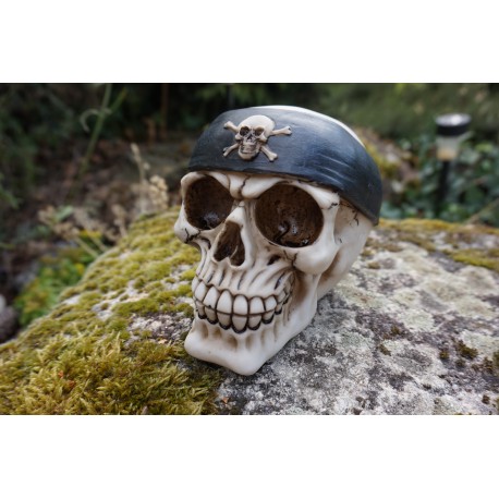 67074 FIGURINE CRANE  PIRATE CARAIBES TETE DE MORT GOTHIQUE SKULL GOTH  CRANIO