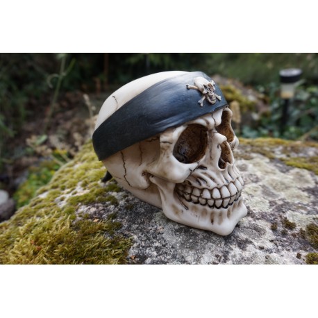 67074 FIGURINE CRANE  PIRATE CARAIBES TETE DE MORT GOTHIQUE SKULL GOTH  CRANIO