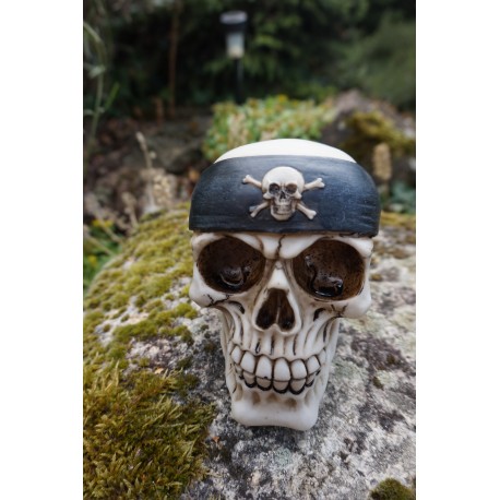 67074 FIGURINE CRANE  PIRATE CARAIBES TETE DE MORT GOTHIQUE SKULL GOTH  CRANIO
