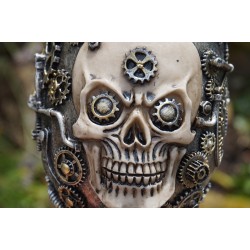 67077  CALICE CIBOIRE  VERRE  TETE MORT CRANE   STEAMPUNK   GOTHIQUE TASSE