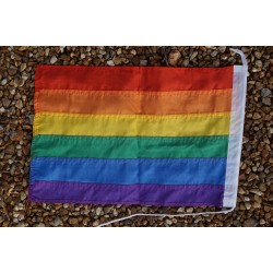 201 DRAPEAU GAY LESBIENNE 46X31 CM NEUF RAINBOW ARC EN CIEL LGBT FLAG 	