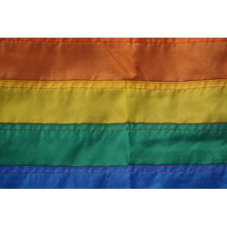 201 DRAPEAU GAY LESBIENNE 46X31 CM NEUF RAINBOW ARC EN CIEL LGBT FLAG 	