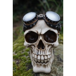 67095 FIGURINE CRANE AVIATEUR STEAMPUNK TETE DE  MORT GOTHIQUE SKULL GOTH CRANIO
