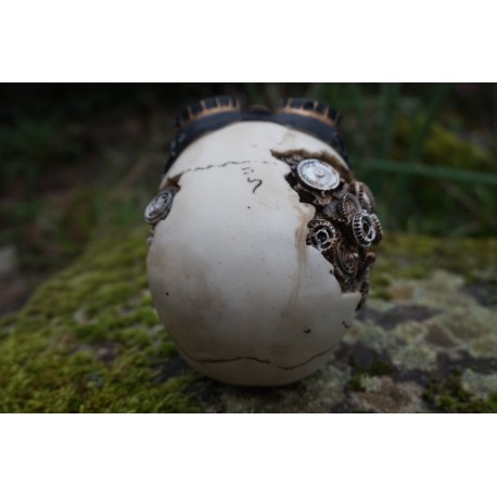 67095 FIGURINE CRANE AVIATEUR STEAMPUNK TETE DE  MORT GOTHIQUE SKULL GOTH CRANIO