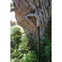 CA-0510 CANNE TETE  DE   DRAGON   GOTHIQUE HEROIC FANTASY CRANEO CRANIO DRAGO