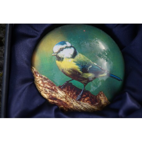 PNAT05 SULFURE PRESSE PAPIER MESANGE BLEUE  OISEAU  PAPERWEIGHT BOITE ECRIN