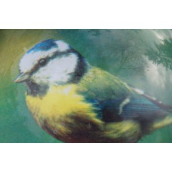 PNAT05 SULFURE PRESSE PAPIER MESANGE BLEUE  OISEAU  PAPERWEIGHT BOITE ECRIN