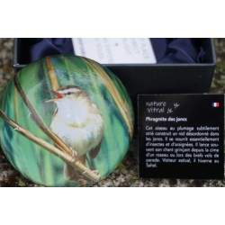 PNAT07 SULFURE PRESSE PAPIER PHRAGMITE DES JONCS   OISEAU  PAPERWEIGHT ECRIN