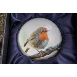 PNAT09 SULFURE PRESSE PAPIER ROUGE GORGE    OISEAU  PAPERWEIGHT BOITE ECRIN