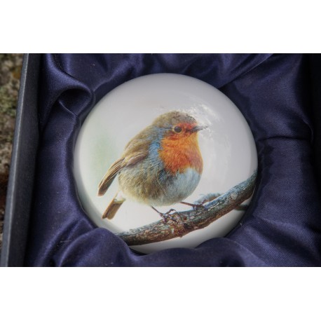 PNAT09 SULFURE PRESSE PAPIER ROUGE GORGE    OISEAU  PAPERWEIGHT BOITE ECRIN