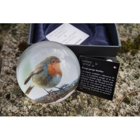 PNAT09 SULFURE PRESSE PAPIER ROUGE GORGE    OISEAU  PAPERWEIGHT BOITE ECRIN