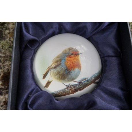 PNAT09 SULFURE PRESSE PAPIER ROUGE GORGE    OISEAU  PAPERWEIGHT BOITE ECRIN