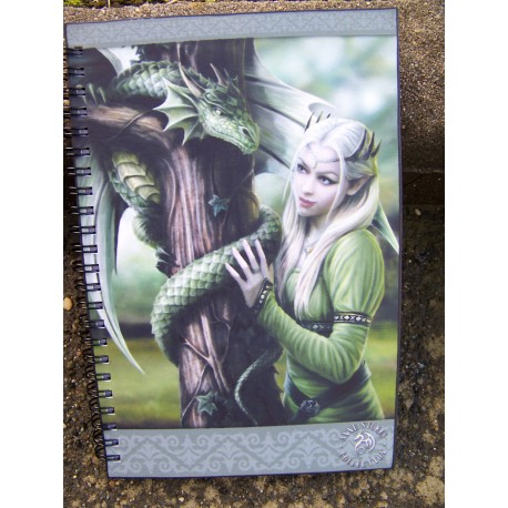 49270 CAHIER BLOC NOTE AMES SOEURS HEROIC FANTASY COLLECTION ANNE