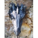 65037 LUSTRE LUMINAIRE LAMPE DRAGON HEROIC FANTASY RESINE DRAGO CRANIO