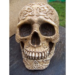 347064 FIGURINE CRANE TETE DE MORT RELIEF GOTHIQUE HEROIC FANTASY