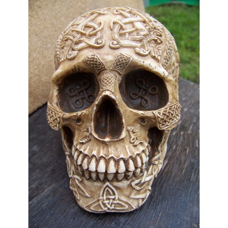 347064 FIGURINE CRANE TETE DE MORT RELIEF GOTHIQUE HEROIC FANTASY