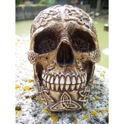 347064 FIGURINE CRANE TETE DE MORT RELIEF GOTHIQUE HEROIC FANTASY