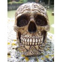 347064 FIGURINE CRANE TETE DE MORT RELIEF GOTHIQUE HEROIC FANTASY