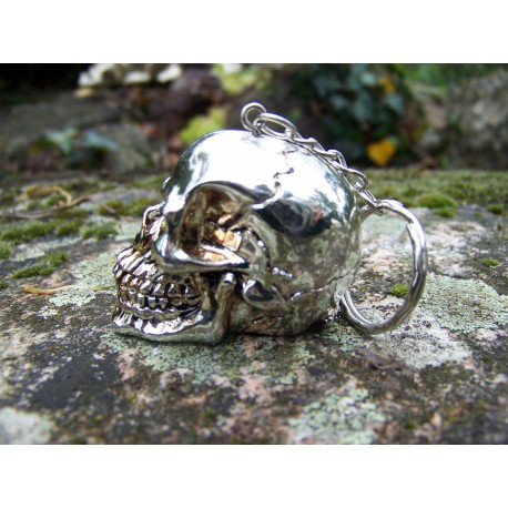 HF1545 PORTE CLE CRANE TETE MORT HEROIC FANTASY FIGURINE